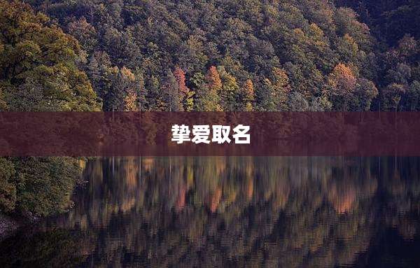 挚爱取名