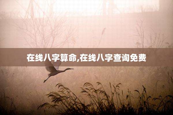 在线八字算命,在线八字查询免费
