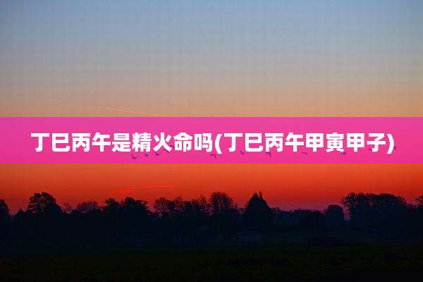 丁巳丙午是精火命吗(丁巳丙午甲寅甲子)