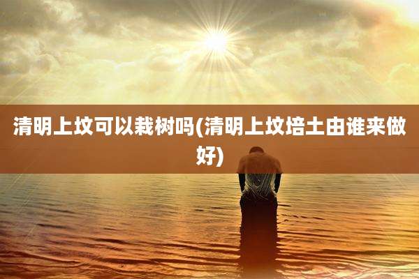 清明上坟可以栽树吗(清明上坟培土由谁来做好)