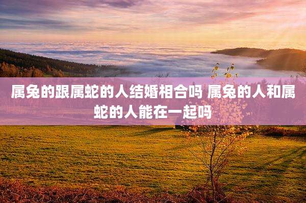 属兔的跟属蛇的人结婚相合吗 属兔的人和属蛇的人能在一起吗