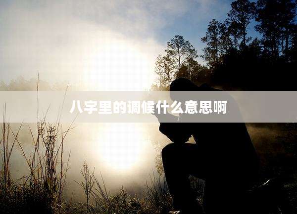 八字里的调候什么意思啊