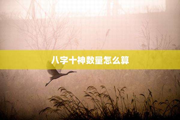 八字十神数量怎么算