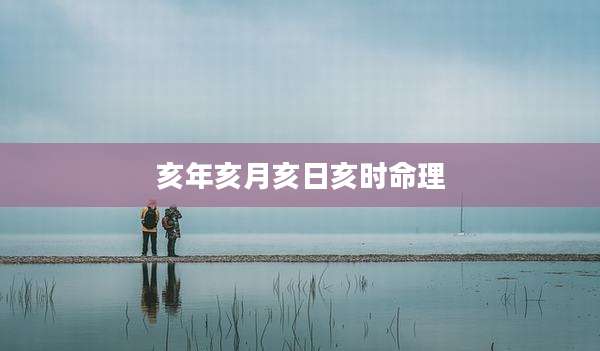 亥年亥月亥日亥时命理