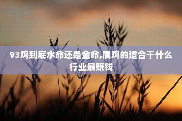93鸡到底水命还是金命,属鸡的适合干什么行业最赚钱