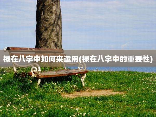 禄在八字中如何来运用(禄在八字中的重要性)