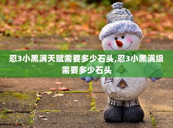 忍3小黑满天赋需要多少石头,忍3小黑满级需要多少石头