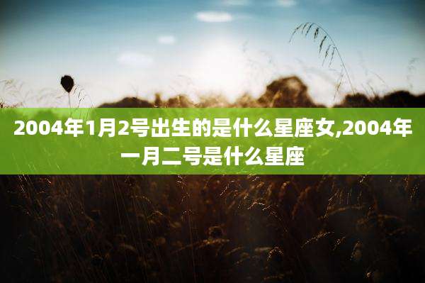 2004年1月2号出生的是什么星座女,2004年一月二号是什么星座