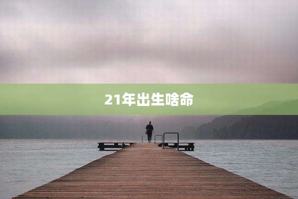 21年出生啥命