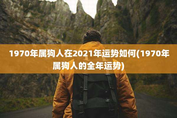 1970年属狗人在2021年运势如何(1970年属狗人的全年运势)