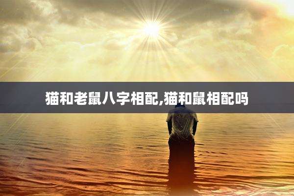 猫和老鼠八字相配,猫和鼠相配吗