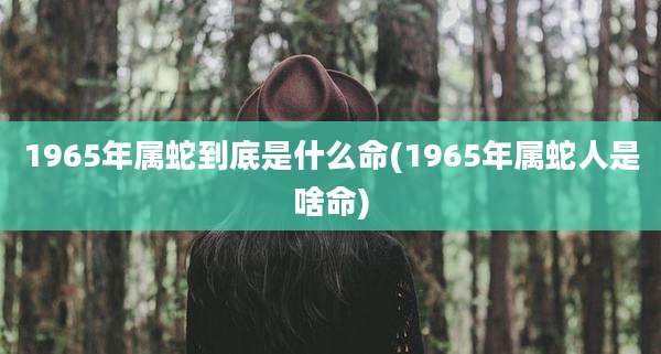 1965年属蛇到底是什么命(1965年属蛇人是啥命)