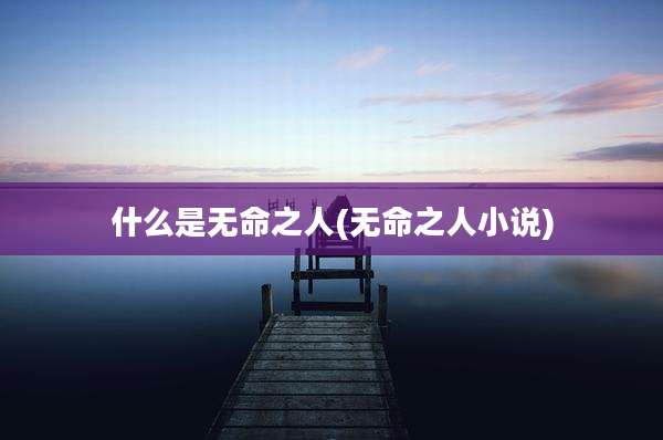 什么是无命之人(无命之人小说)