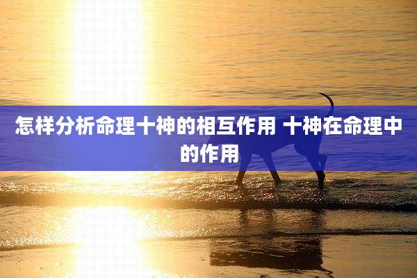 怎样分析命理十神的相互作用 十神在命理中的作用