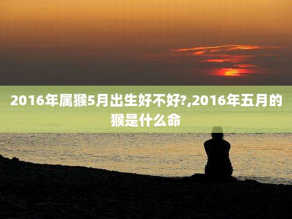2016年属猴5月出生好不好?,2016年五月的猴是什么命