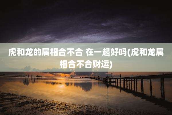 虎和龙的属相合不合 在一起好吗(虎和龙属相合不合财运)