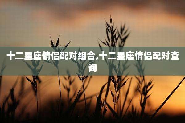 十二星座情侣配对组合,十二星座情侣配对查询