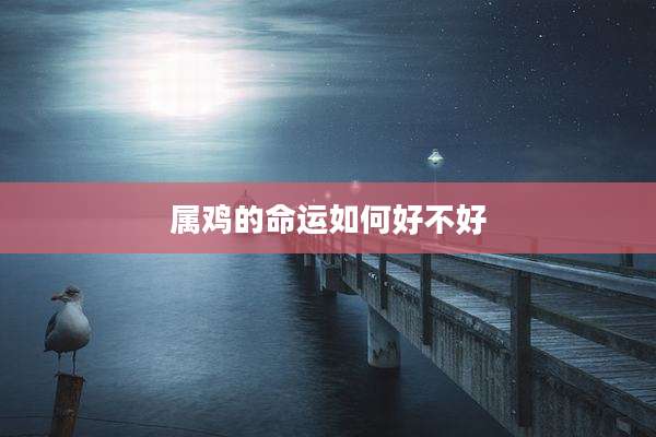 属鸡的命运如何好不好