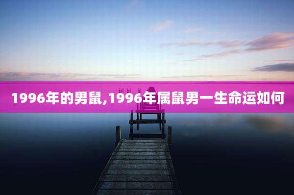 1996年的男鼠,1996年属鼠男一生命运如何