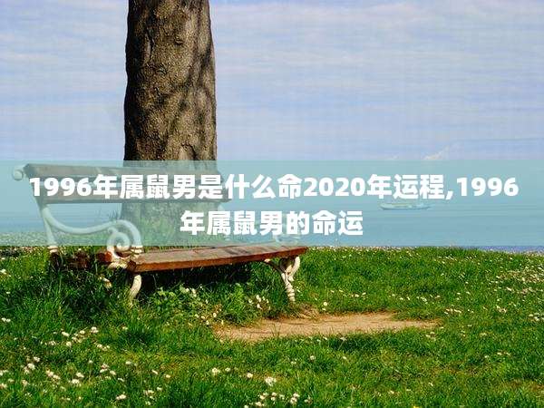 1996年属鼠男是什么命2020年运程,1996年属鼠男的命运