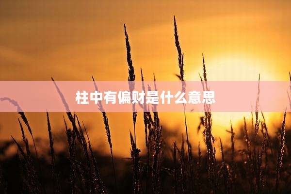 柱中有偏财是什么意思