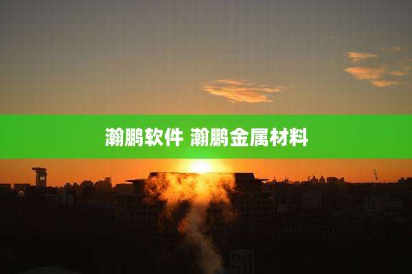 瀚鹏软件 瀚鹏金属材料