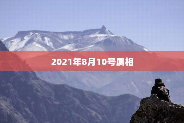 2021年8月10号属相