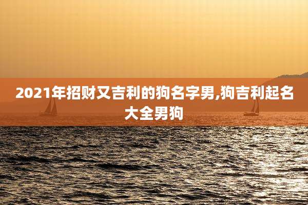 2021年招财又吉利的狗名字男,狗吉利起名大全男狗