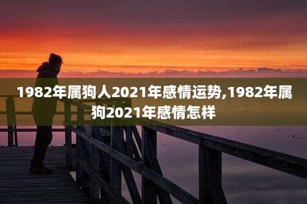 1982年属狗人2021年感情运势,1982年属狗2021年感情怎样