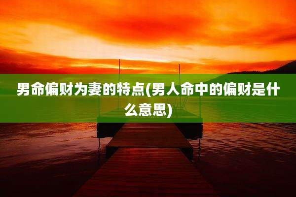 男命偏财为妻的特点(男人命中的偏财是什么意思)