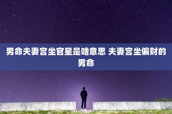 男命夫妻宫坐官星是啥意思 夫妻宫坐偏财的男命