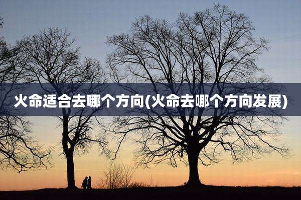 火命适合去哪个方向(火命去哪个方向发展)