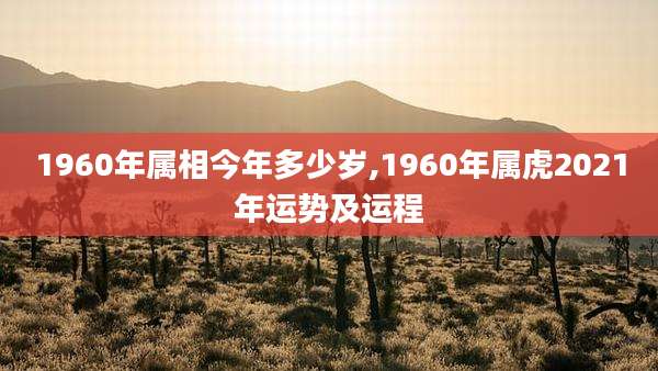 1960年属相今年多少岁,1960年属虎2021年运势及运程