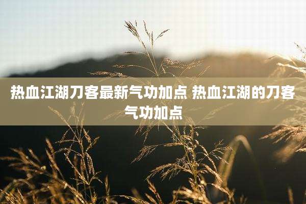 热血江湖刀客最新气功加点 热血江湖的刀客气功加点