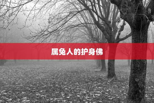 属兔人的护身佛