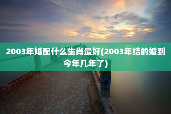 2003年婚配什么生肖最好(2003年结的婚到今年几年了)