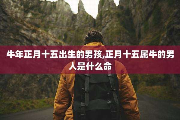 牛年正月十五出生的男孩,正月十五属牛的男人是什么命