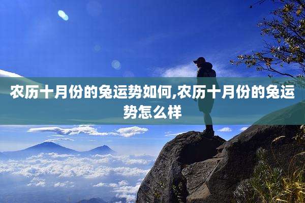 农历十月份的兔运势如何,农历十月份的兔运势怎么样