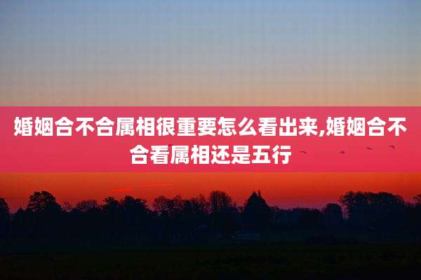 婚姻合不合属相很重要怎么看出来,婚姻合不合看属相还是五行