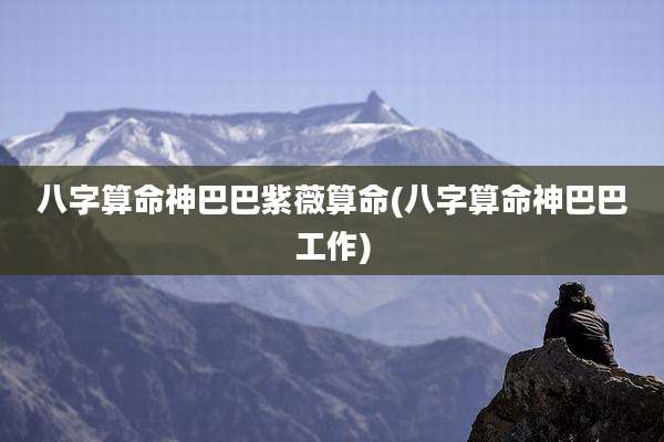 八字算命神巴巴紫薇算命(八字算命神巴巴工作)
