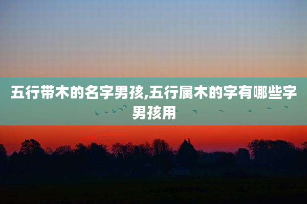 五行带木的名字男孩,五行属木的字有哪些字男孩用