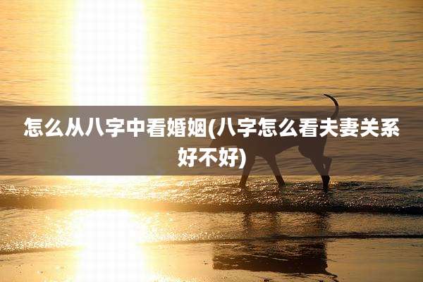 怎么从八字中看婚姻(八字怎么看夫妻关系好不好)