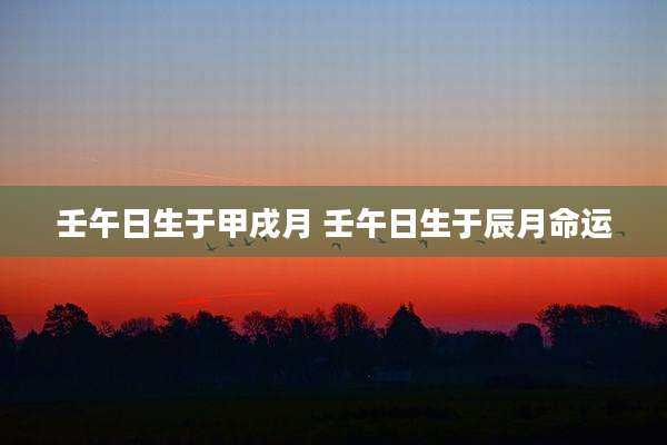 壬午日生于甲戌月 壬午日生于辰月命运