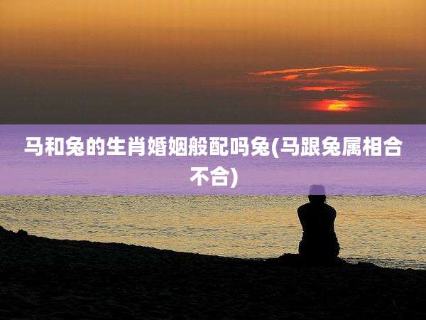 马和兔的生肖婚姻般配吗兔(马跟兔属相合不合)