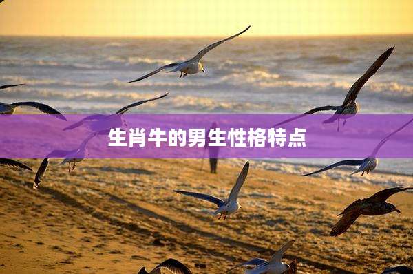 生肖牛的男生性格特点