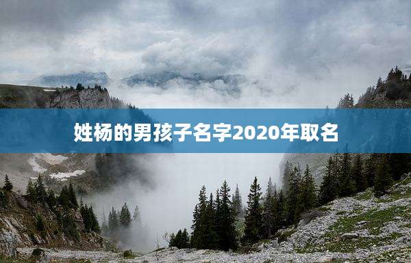 姓杨的男孩子名字2020年取名