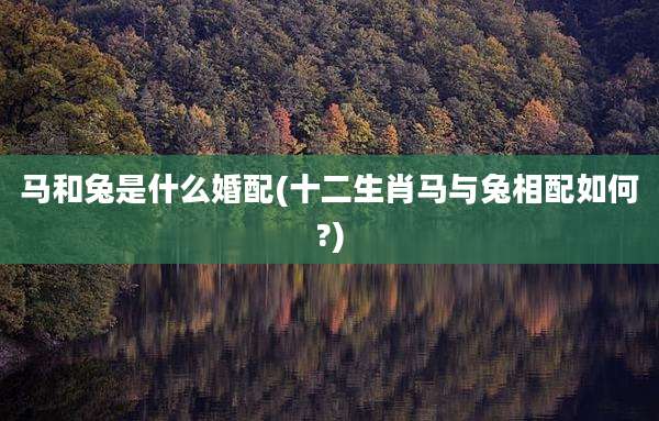 马和兔是什么婚配(十二生肖马与兔相配如何?)