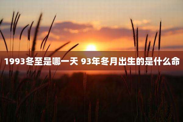1993冬至是哪一天 93年冬月出生的是什么命