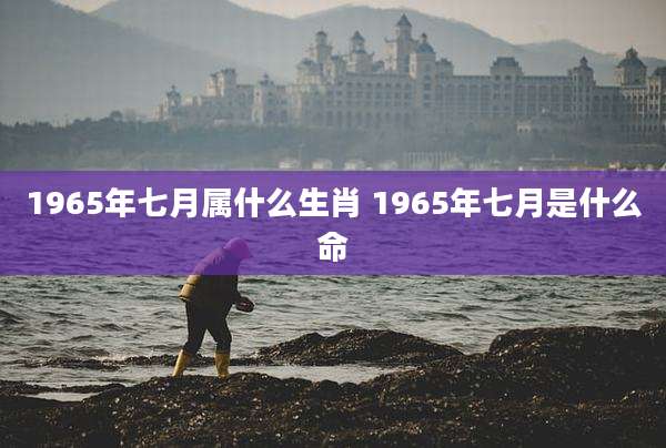 1965年七月属什么生肖 1965年七月是什么命