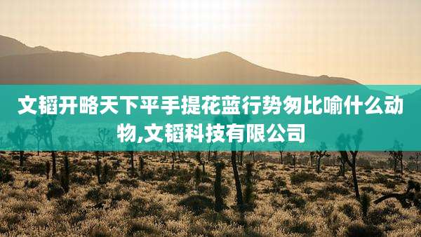文韬开略天下平手提花蓝行势匆比喻什么动物,文韬科技有限公司